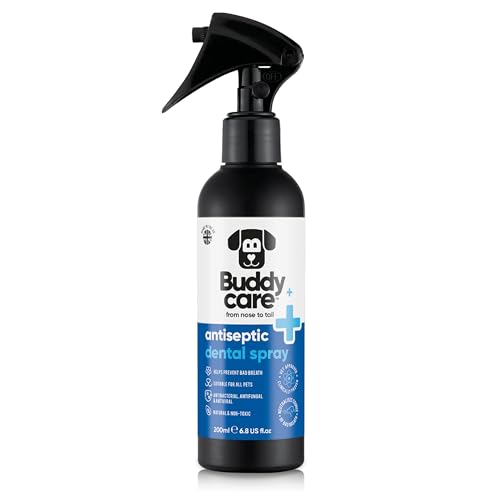 Buddycare Pet Antiseptic Dental Spray Suitable for all pets (200ml) Antiseptic Dog Breath Freshener Spray - Effective Dog Dental Care Solution for dog Smelly Breath Treatment