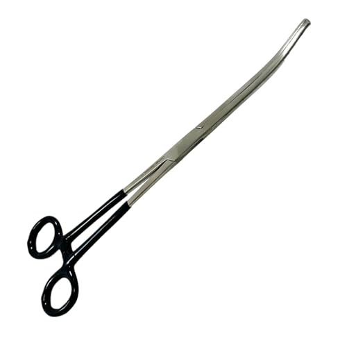 German Stainless Curved Forceps, Hemostat Forceps clamp 10
