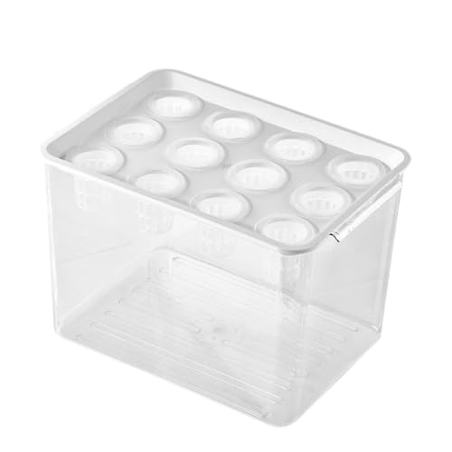 Desktop Hydroponic Growing System with White Lid, 12-Hole Hydro Grow Box for Vegetables and Herbs, Wear-Resistant Countertop Indoor Garden Planter