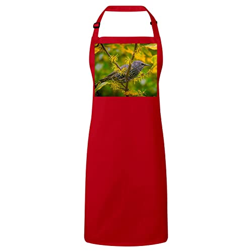 Tablier de cuisine oiseau sur branche pour cuisiner en famille