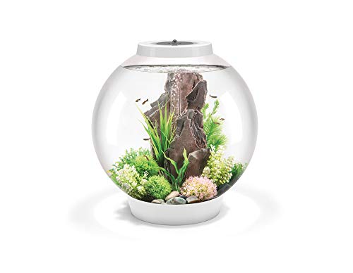 biOrb 72013 CLASSIC 60 LED, 60 L, weiß - Acryl-Aquarium in Kugelform, Komplett-Set mit patentiertem Filtersystem, LED-Beleuchtung