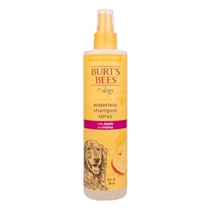 Burts bees for pets naturally derived waterless shampoo spray with apple and honey  dry dog shampoo for all dogs and puppies  cruelty free 10 ounces  2 pack   cucciolini doodles