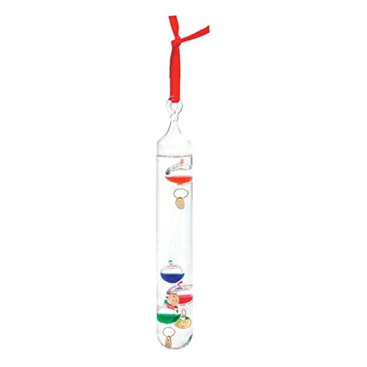 BIOS Hanging Galileo Thermometer, 6"