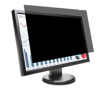 FP200 Privacy Screen for 20 in. Widescreen Monitor