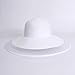 Bollrllr Black White Beach Hat Wide Brimveil Netting Floppy Big Brim Women Summer Straw Hats