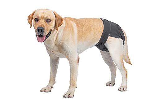 BePetMia Waschbare Windeln für Hunde, Wiederverwendbare Hundewindeln, Umweltfreundliche Damenbinden Höschen, Hygiene-Unterhose für Hunde in Hitze (L: 48-65cm, Schwarz)
