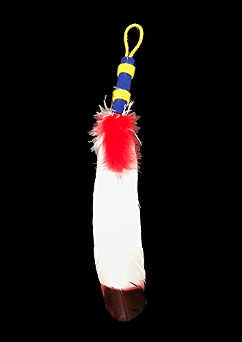 Nature-Watch Arrow of Light Ceremonial Feather