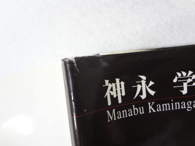 赤い隻眼 神永学 新感覚ミステリー小説 文芸社 赤い隻眼 神永学 新感覚
