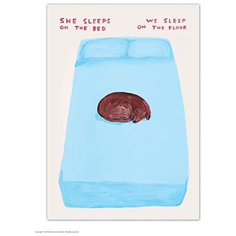 David Shrigley 'She Sleeps On The Bed' Postcard Cover