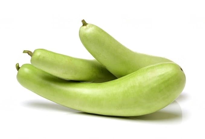 Pack of 30 Bottle Gourd Desi Lauki Seeds - High Yield, Non-GMO Vegetable Seeds for Home Garden - Easy to Grow, Disease-Resistant, Ideal for Organic Farming & Kitchen Gardening - Loose Packing" (B0DDQ4MQGG) Amazon Price History, Amazon Price Tracker