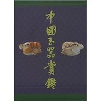 Chinese Jade Shangjian 7532339254 Book Cover