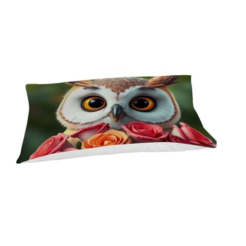 Housse de couette single motif chat aigle 3D parure lit microfbre
