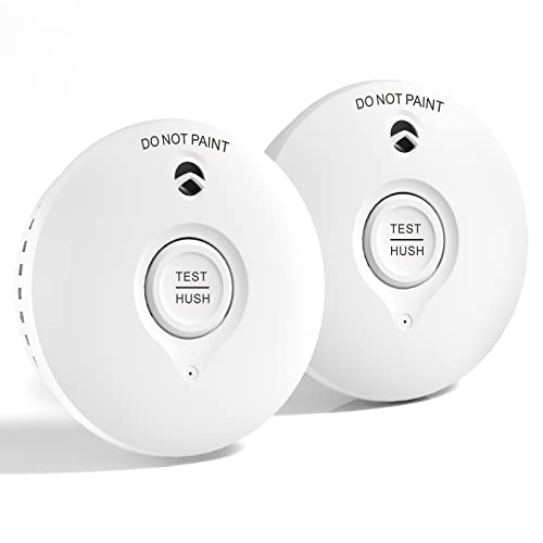 Ruan White 10-year battery Photoelectric Smoke Alarm Easy installation Smoke Detector with Silence Button Conforms to EN14604 Standard 2 Pack