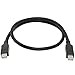 Sonnet Thunderbolt Cable???Thunderbolt Cable (Male to Male 1?m Black TCB-tb-1?m 1?m 10Gbit/S; 10?Gbit/s, Black)