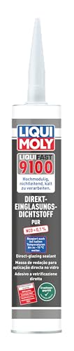 LIQUI MOLY 21950 Pegamento para cristal 300ml