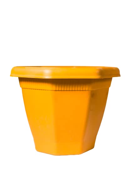 See full amazon price history chart for Sonanshi Hexagonal Modern Design Durable Plastic Plant Pot/Gamla/Flower Pot (9.5 Inch Dia) (4) Sonanshi Hexagonal Modern Design Durable Plastic Plant Pot/Gamla/Flower Pot (9.5 Inch Dia) (4) (B0B4KFCYL9) Amazon Price History, Amazon Price Tracker