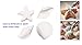 Oasis Supply Seashells and Starfish Sugar Decorations, Cupcake Toppers, 12 Count