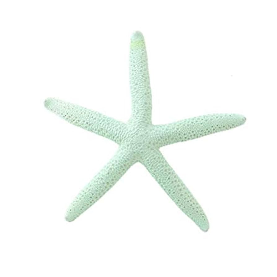 Amazon.co.jp: スターフィッシュ ヒトデ ミントグリーン×3個