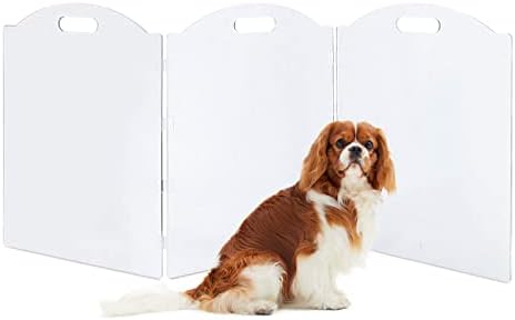 Clear Acrylic Freestanding Dog Gates for The House — shown in a real home setting for scale