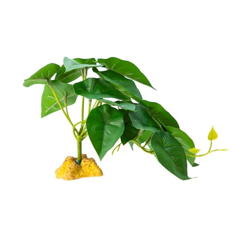 ঒ރNC~OOXeEAeEރgJQwrlHȂ