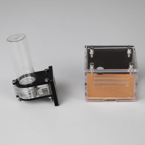 Image of Water Feeder and Trash Area for Rimsunta Ant Farm