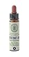 Chestnut Bud Nr. 7 Princeps Original Bachblüten Kastanienknospe Tropfen - 10ml