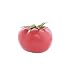 Red Artificial Tomato