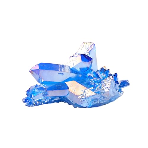 [Yizibuur]yVRz㝑ip [V, yƁzfXN  u, R̗C @\A[g, ƒE 