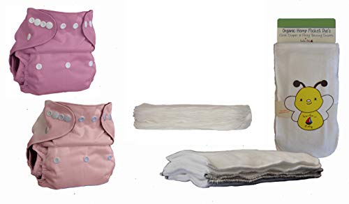 Kashmir Baby Bamboo Charcoal One Size Cloth Diapers (2 Pack), 4 Organic Inserts, 10 Cloth Wipes. Washable. Reusable. (Princess)
