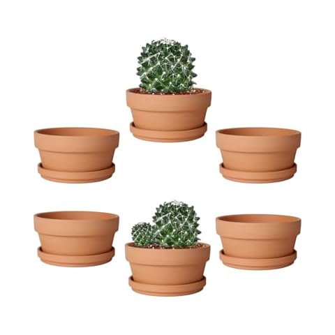 vensovo 5.7 Inch Terracotta Shallow Succulent Pot - 6 Pack Terra Cotta Clay Pots with Saucer, Cacuts Terra-Cotta Indoor and Outdoor Planters with Drainage Hole Cover