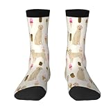 HAZIMCS Cute golden retriever dogs Cone ice cream Socks for Women Teen Girls Boys-Novelty Colorful Funny Dress Cute Crew Socks - Halloween Christmas Stockings Gifts Casual Color contrast stockings