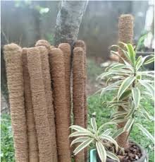 PlantaZee Coco pole Moss Stick for Climbing Money Plants 4 Ft Pack of 2 (B094JY3R9Y) Amazon Price History, Amazon Price Tracker