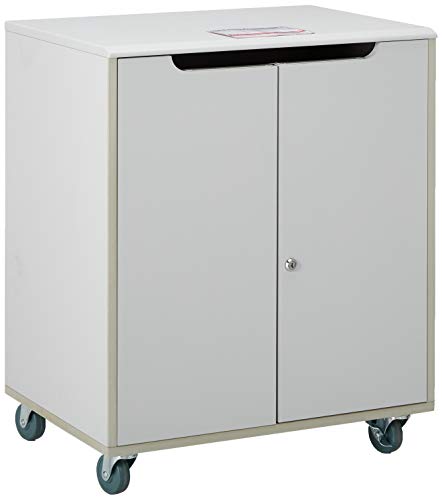 Buddy Products Locking Mail Cart, 18 x 31.125 x 26.5 Inches, Gray (9142-18)