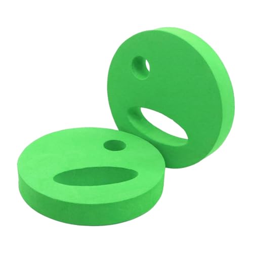 2 discos para ejercicio acuático en piscina miniatura 1