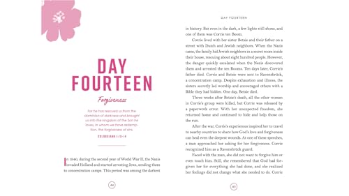 Image of Beyond Brave: A 60-Day Devotional and Guided Journal for Young Women
