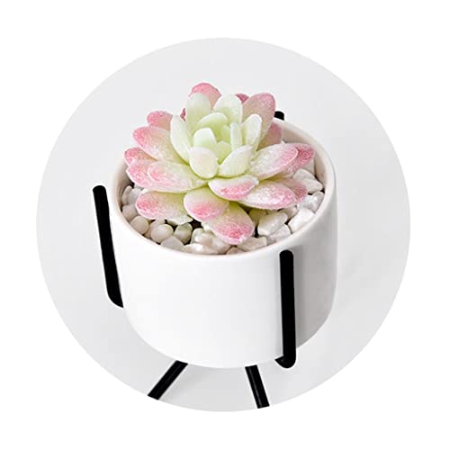 Pot pour plantes d'intérieur céramique anti-trace