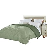 Seward Park Full Queen Size Forest Sage Green Comforter Reversible Lightweight Boys Bedding Cooling Bedspread All Season Fall Blanket