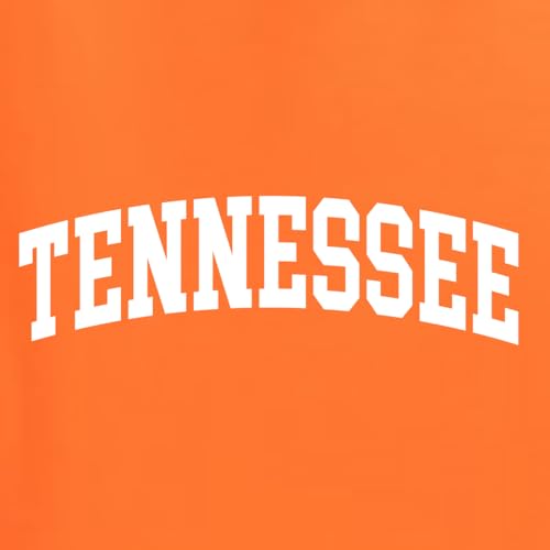 Wild Bobby State of Tennessee College Style Fashion Unisex Hoodie Sweatshirt2