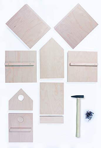 Pebaro 466 Holzbauset Bastelset Vogelhaus inkl. 9 unbehandelten Birkenholzplatten, Löcher vorgebohrt, Hammer und Nägeln, Geschenkidee für Hobby, kleine Handwerker und Kinder, Basteln mit Holz