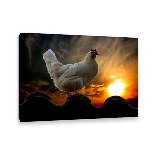 Impression sur toile animaux pour le salon : tableau decoration murale poule au coucher du soleil