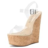 Castamere Womens High-Heel Platform Wedge Heel Sandals Slingback Sexy Ankle Strap Open Toe 16CM Heels Transparent Shoes 7 M US