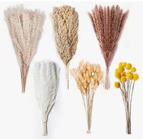 Flores secas para decoracion en paquete de 40g miniatura 2