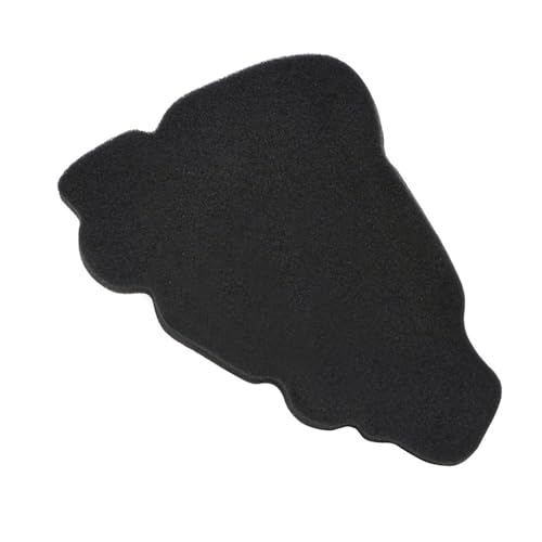 Filtro de aire para scooter Boulevard y Adiva: soluciona el consumo alto 4
