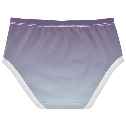 Animal Girls Underwear Toddlers 2t Cotton Panties for Girl Purple Pale Blue Gradient Briefs Underpants2