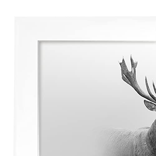Americanflat 16x16 Picture Frame with Polished Plexiglass - Epic Collection - Square Picture Frame with Engineered Wood - Wide Photo Frames for Wall display - White