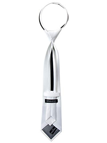 Spring Notion Boys' Satin Zipper Necktie Aqua Small2