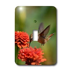 Plaque interrupteur de précision 3dRose LSP_63595_1 graphisme floral haute définition