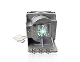 SORNEICDR SP LAMP-086/5J.JEL05.001/BL-FP190C Replacement Projector Lamp Bulb Compatible with INFOCUS IN112A, IN114A, IN114STa, IN116A, IN118HDa, IN118HDSTA/OPTOMA DS311, DS331, H111, H181X Projectors