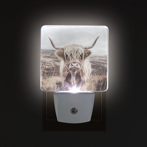 Image of Highland Cattle Cow Mountain Night Lights 2 Pack Plug-in Wall Led Nightlight Auto Dusk-to-Dawn Sensor Lamps for Bedroom Kitchen Bathroom