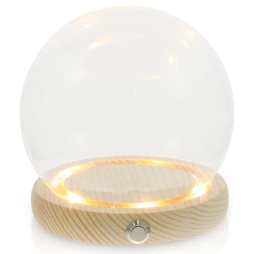 Zerodeko Globo a Cupola di con Luce: Decorazione Terrario in Trasparente Cupola di Visualizzazione Globo a Cloche in Trasparente per Figure di Fiori Sfere di Cristallo 12